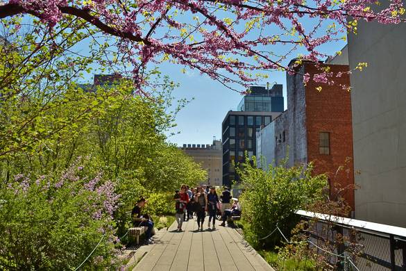Image of people walking on the High line