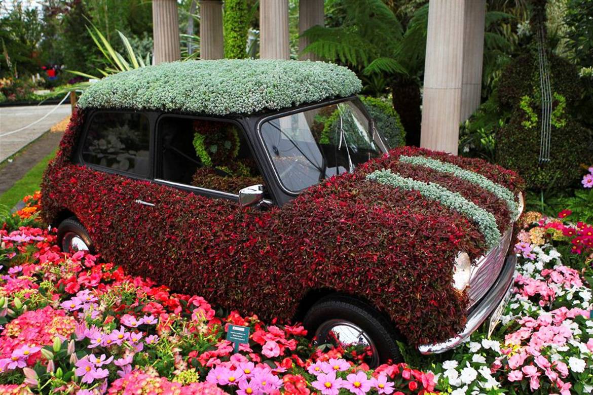 Image of a Mini Cooper made out of flowers at the Chelsea Flower Show