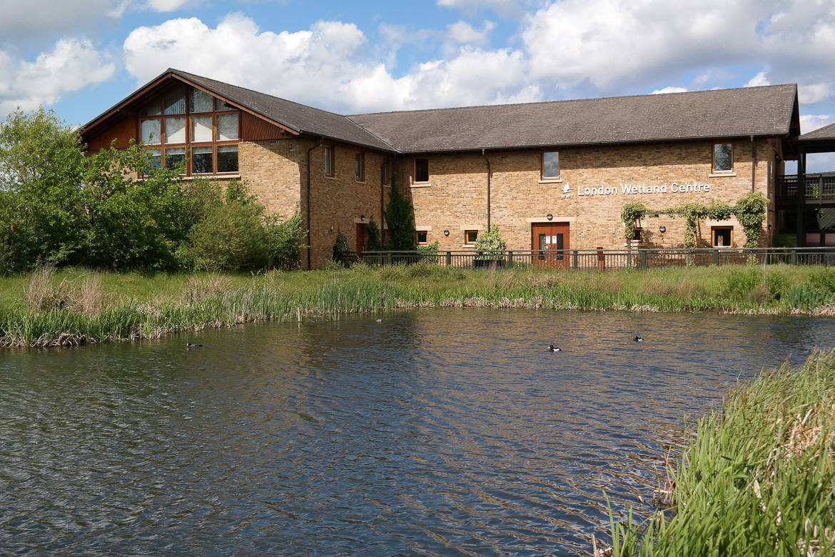 Image of London Wetland Centre with marsh and ducks on water
