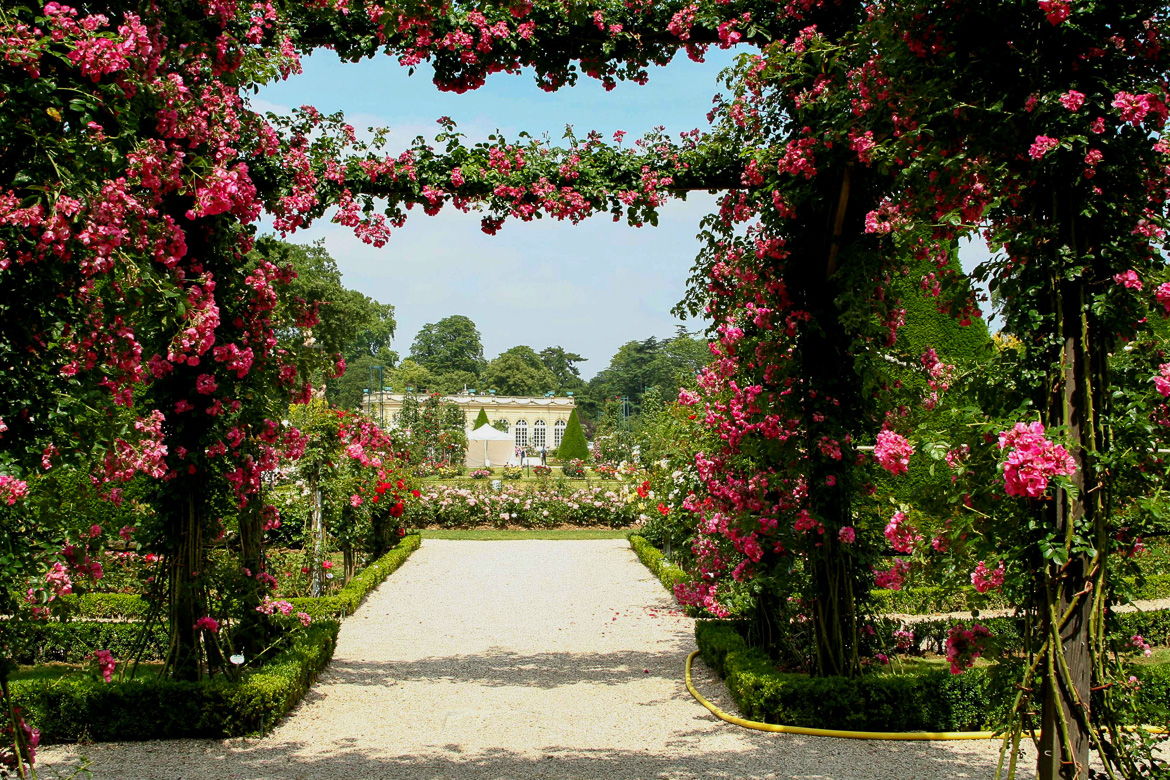 Image of archway covered in roses at Parc de Bagatelle in Paris