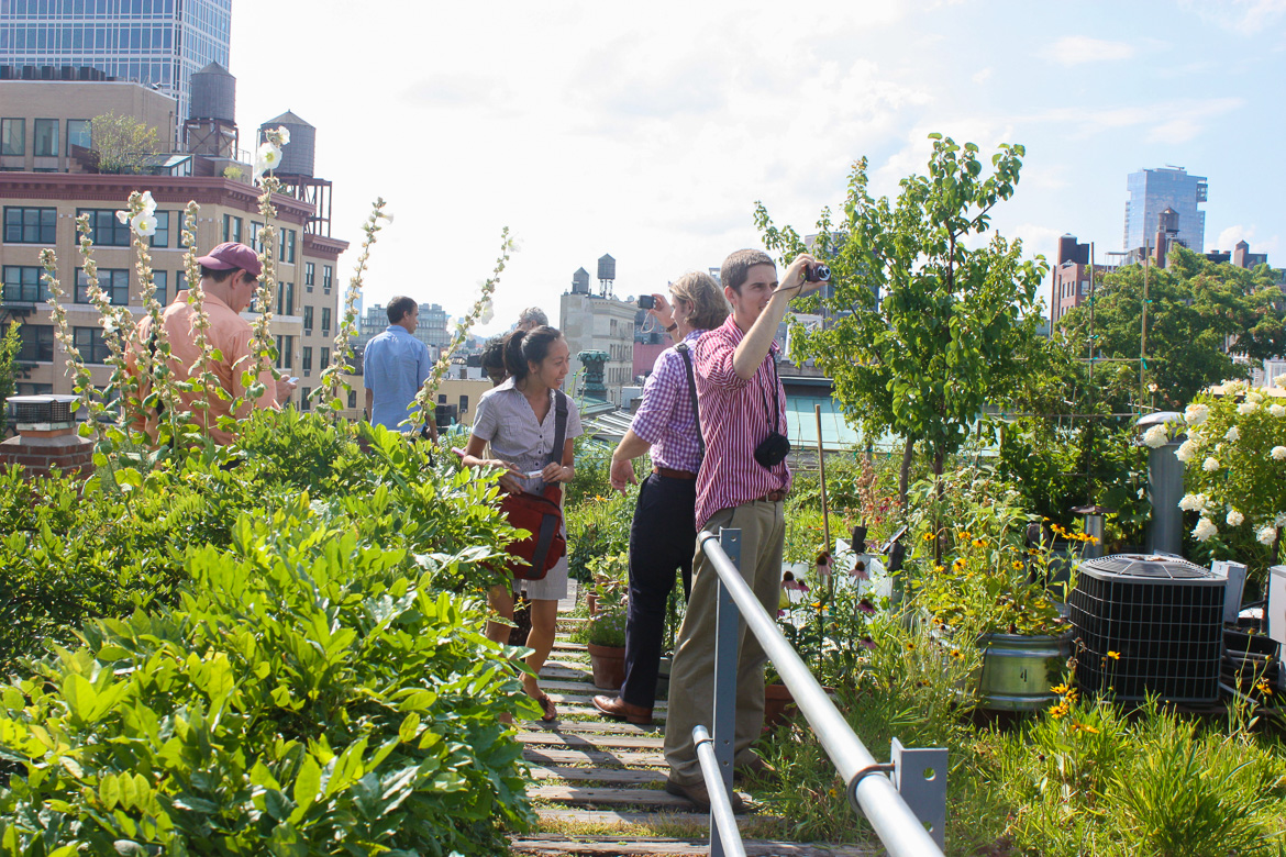 Image of people walking through a landscaped rooftop garden
