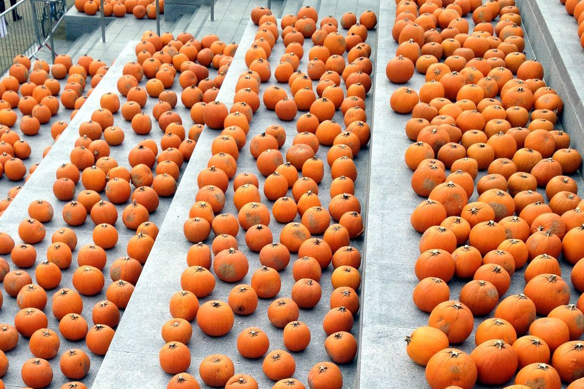Image of pumpkins on the stairs at King’s Cross Station.