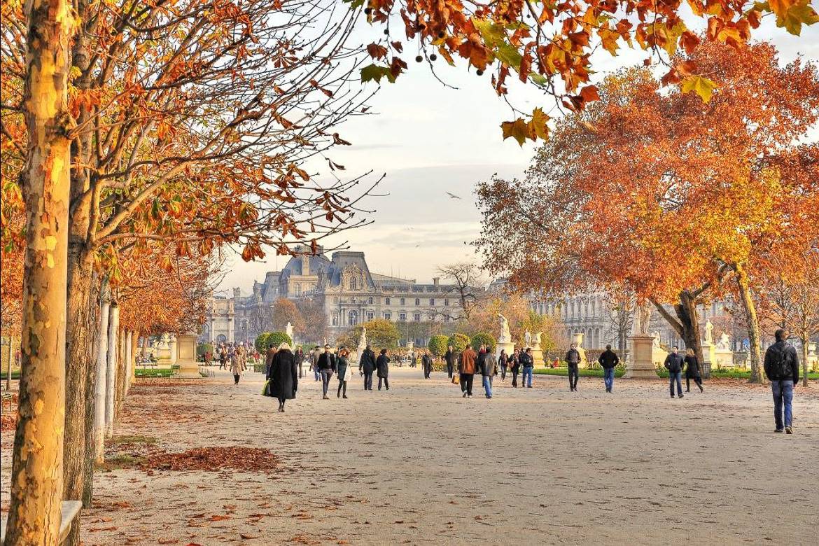 Discover the Authentic Heart of Paris in Autumn - New York Habitat Blog