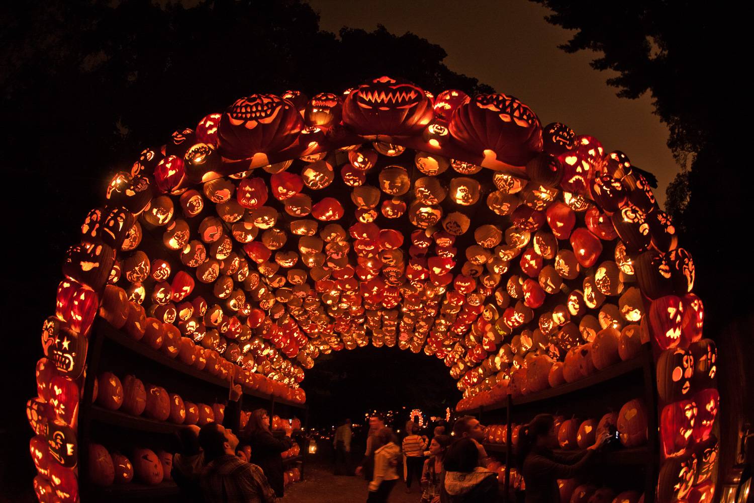 Image of illuminated jack o’ lanterns arranged into an arch at the Great Jack o’ Lantern Blaze in New York.