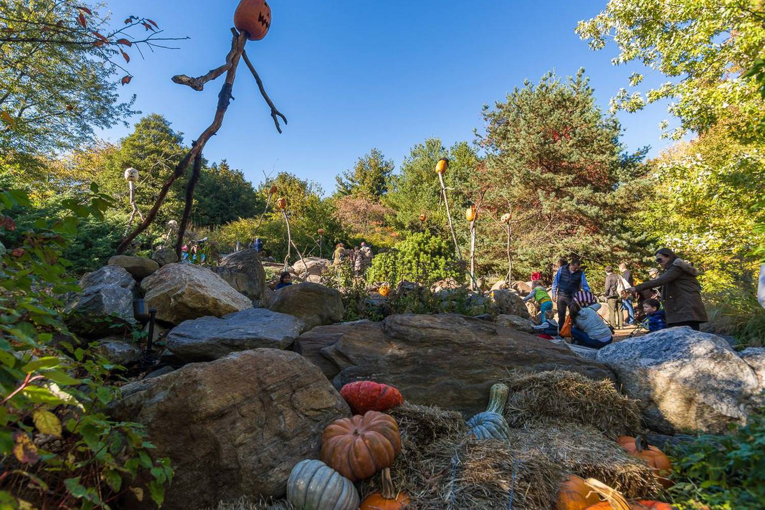 Image of families at the New York Botanical Garden children’s garden, decorated for Halloween.
