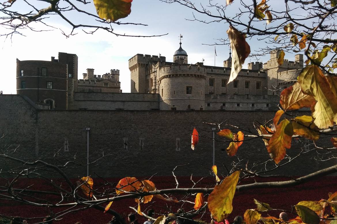 Image of the Tower of London framed by fall leaves.
