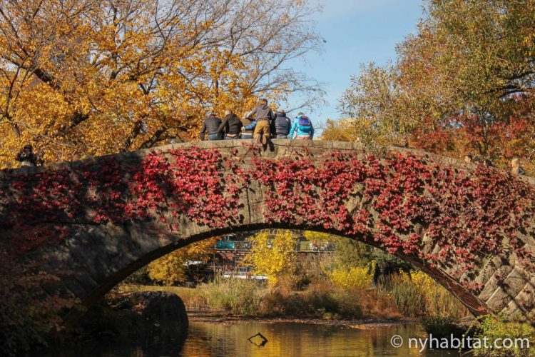 Image of a group of people posing for a photo on a bridge in Central Park in autumn.