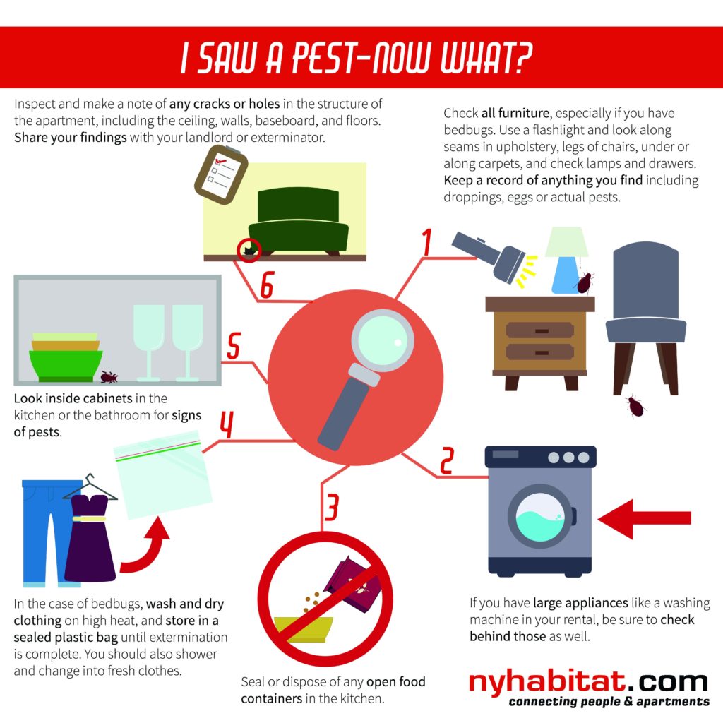 Tips for Keeping Your NYC Apartment PestFree New York