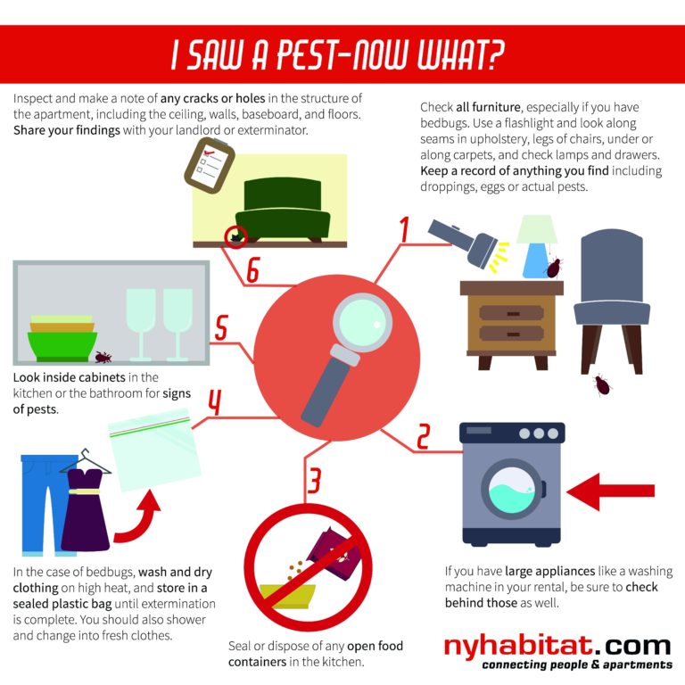 Tips for Keeping Your NYC Apartment Pest-Free : New York Habitat Blog