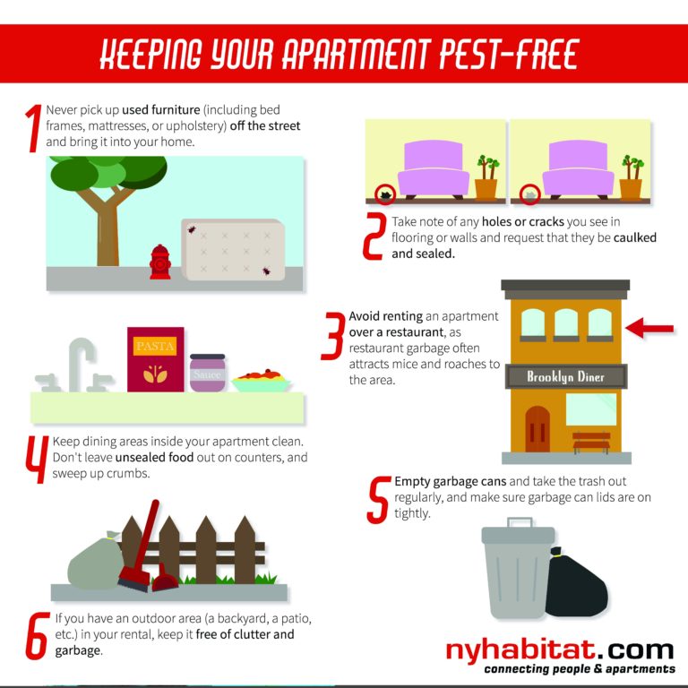 Tips for Keeping Your NYC Apartment PestFree New York