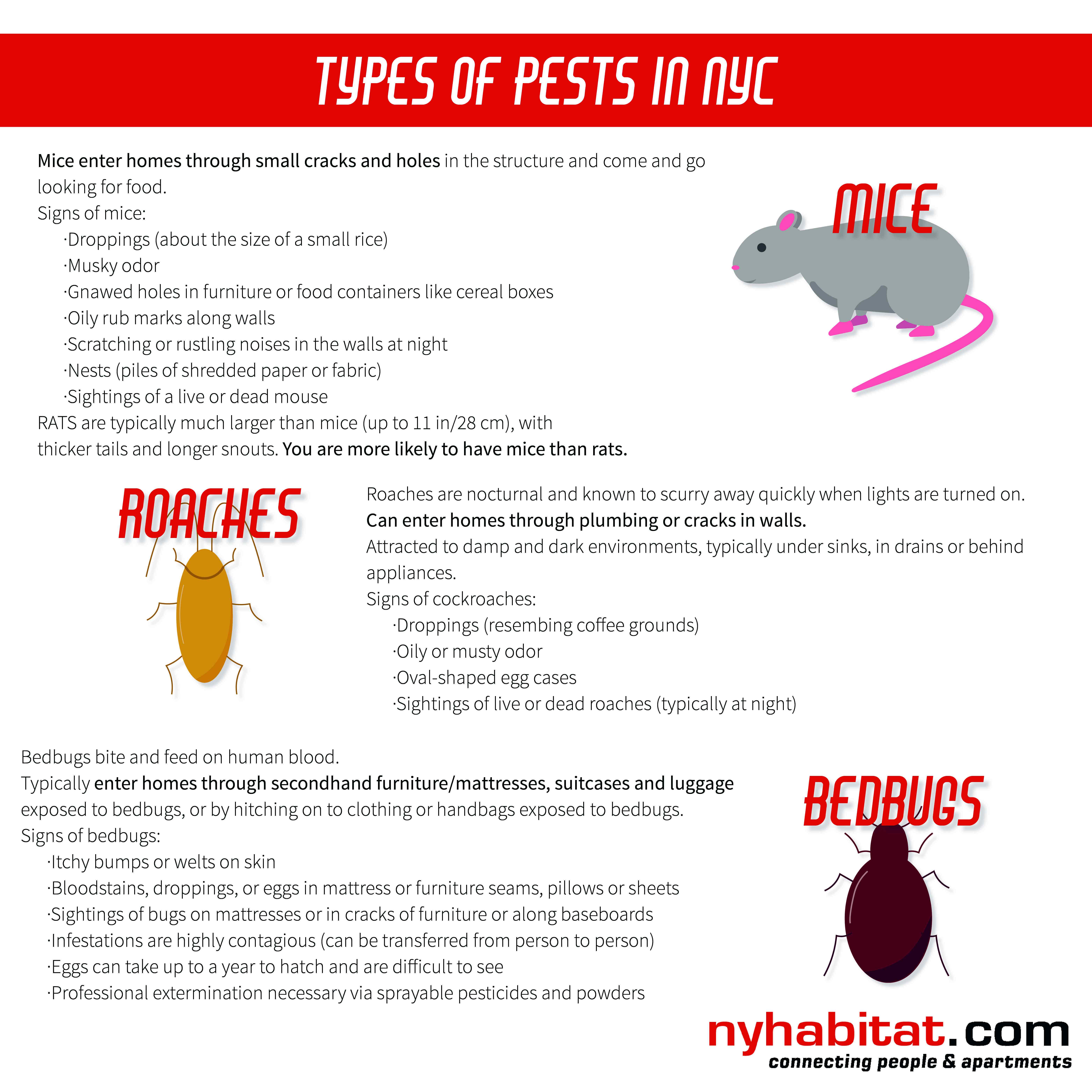 New York Habitat infographic with information about identifying mice, cockroaches and bedbugs.