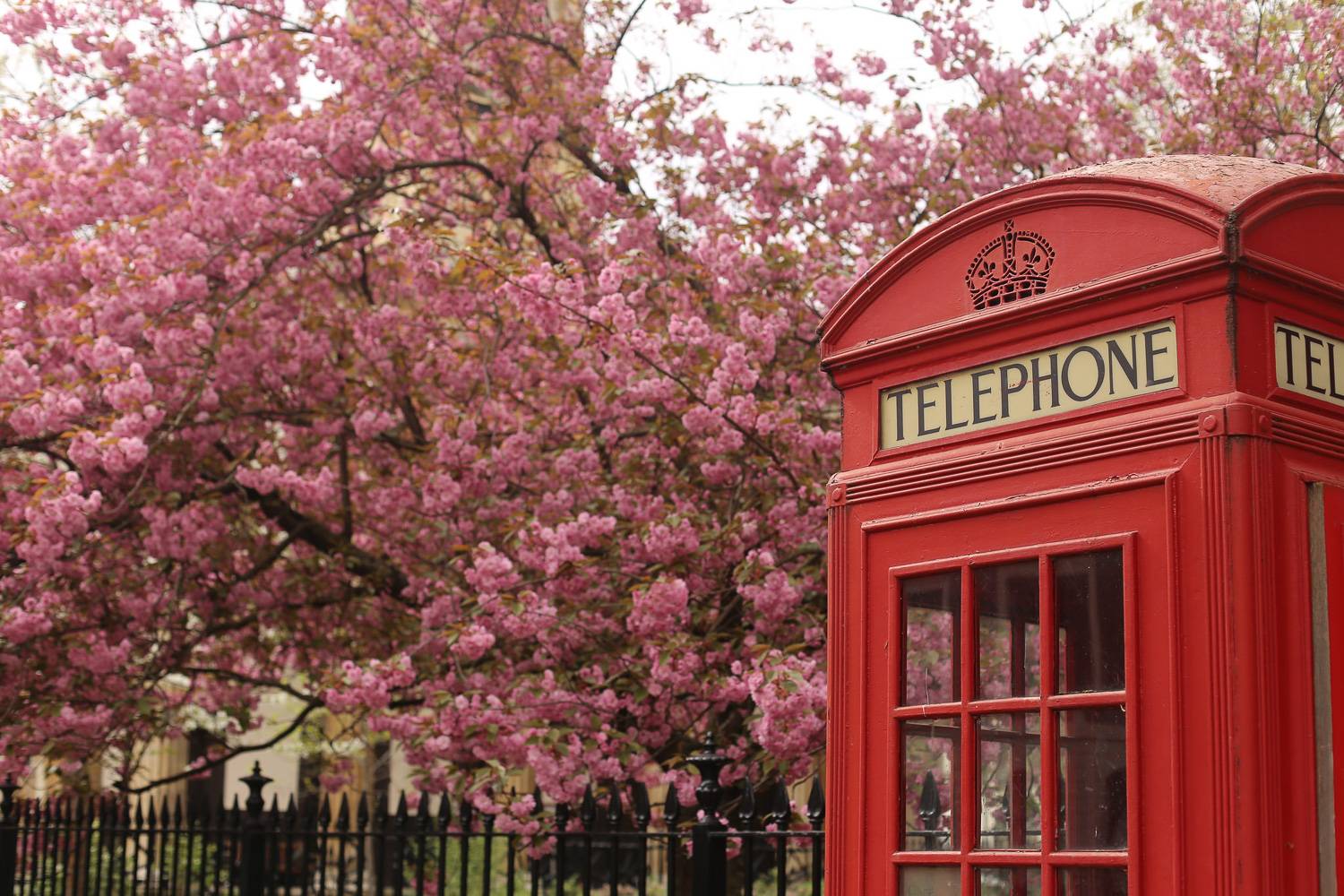 The Best of London and Furnished Flats for Spring New York Habitat Blog