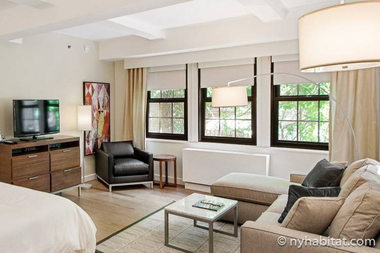 Image of living area in NY-16839 with sofa, television, and armchair.
