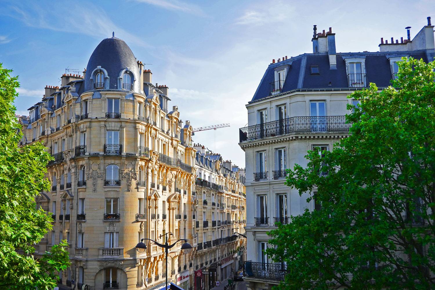 Image of Haussmannian rooftops in Paris surrounded by trees.