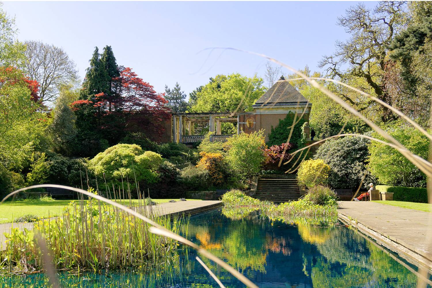 Image of the garden and pergola in Hampstead Hill.
