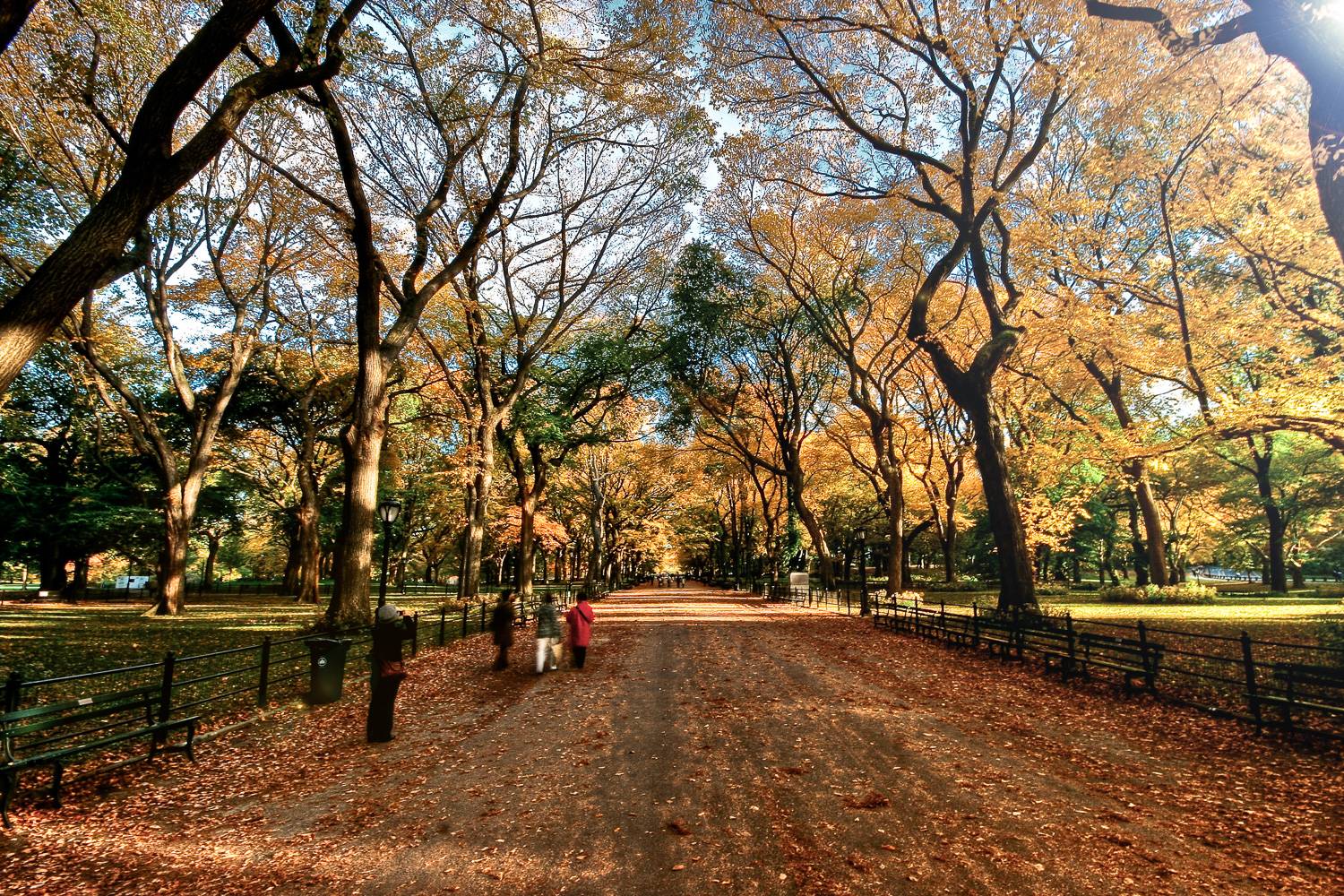 Image of the mall footpath in Central Park framed by trees with autumn leaves.