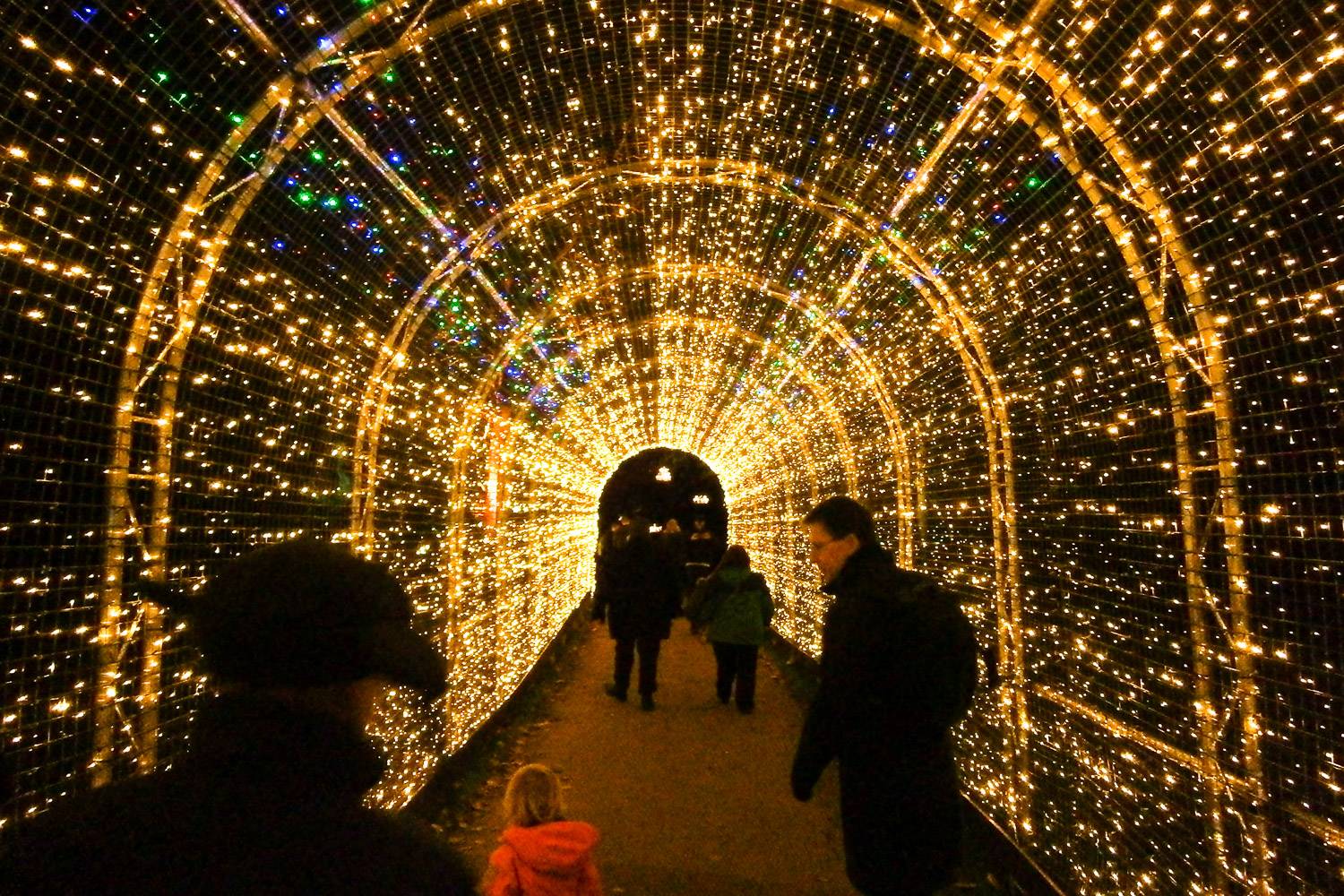An image of thousands of bright display lights for a Christmas celebration at Kew Gardens.