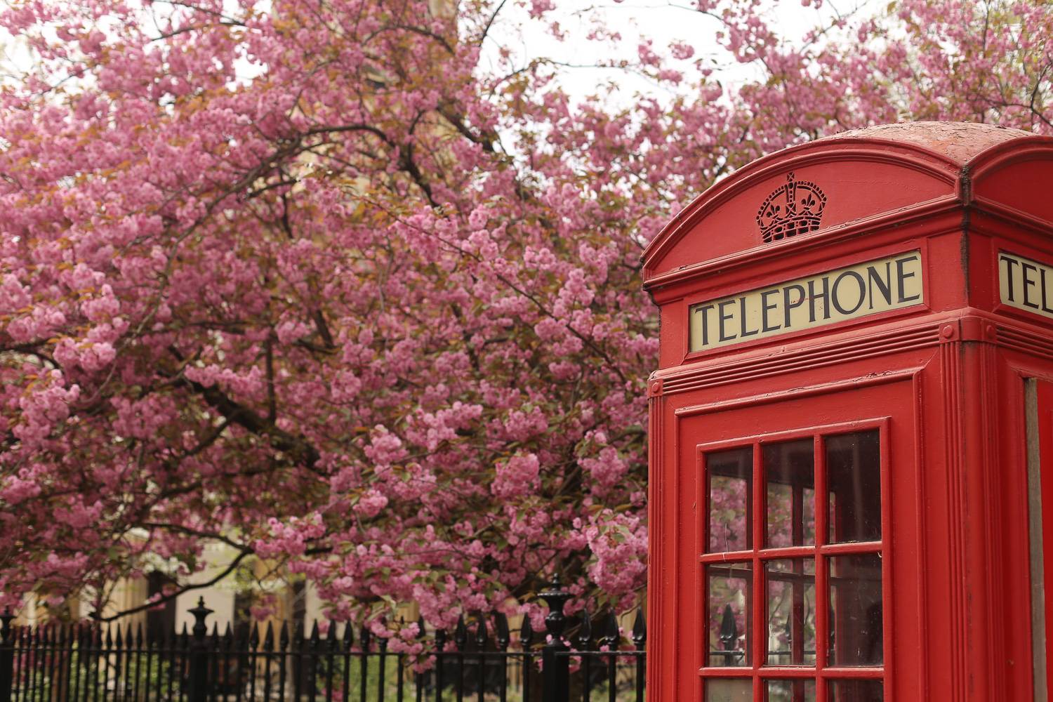 Das Beste von London und möblierte Wohnungen für den Frühling