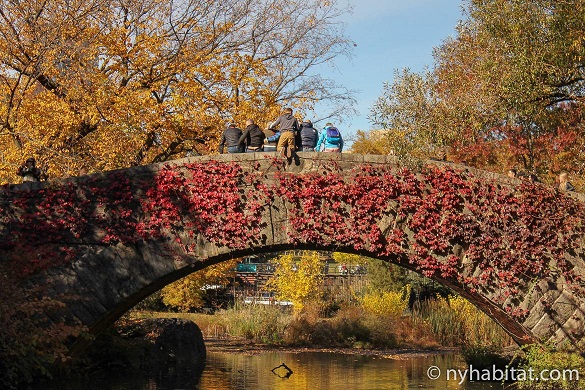 Bild von einer Gruppe von Menschen, die auf einer Brücke im Central Park im Herbst für ein Foto posieren.