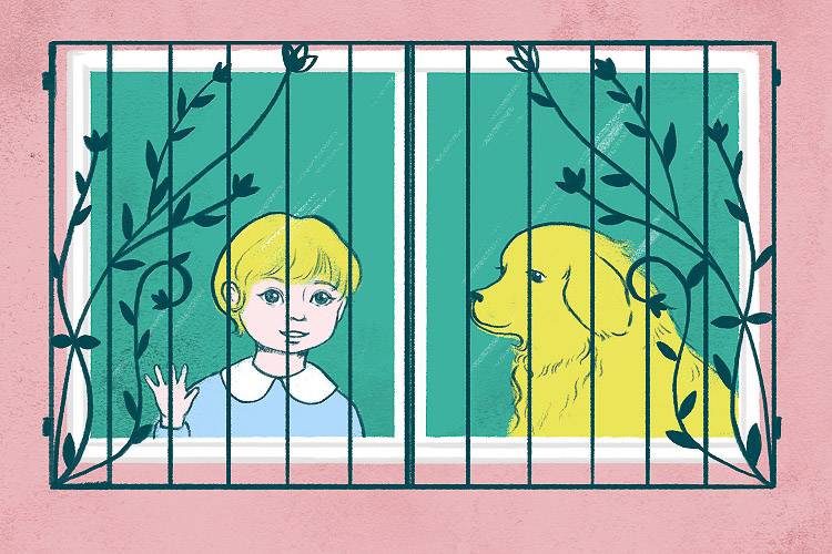 Infografik über Fenstersicherheitsvorschriften für Kinder