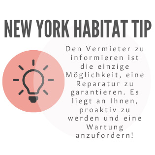 Tipp-Infografik von New York Habitat, die Mieter dazu ermutigt, Ihre Wohnung zu inspizieren und Ihren Vermieter zu informieren.