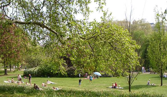 Bild eines “Royal Parks” in London