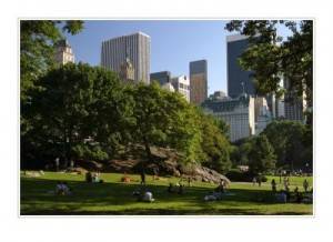 Der Central Park zur Sommerzeit