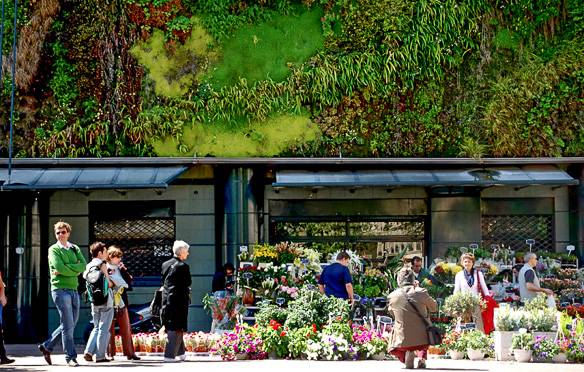 Bild des Lebensmittelmarktes Les Halles in Avignon. Bild von Marta Favro.