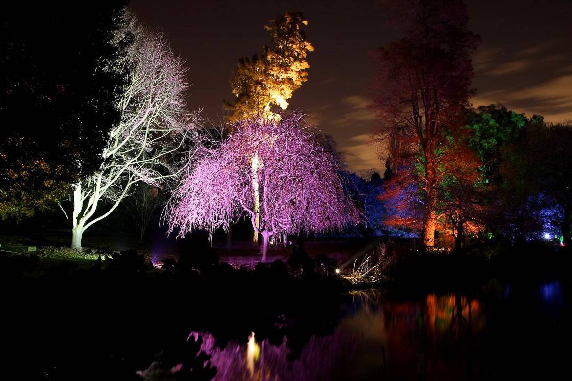 Das originelle Enchanted Woodland im Syon Park