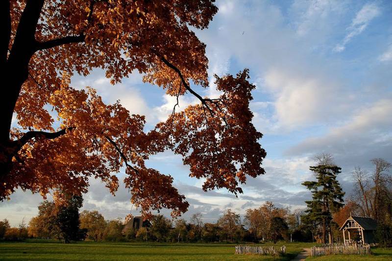 Bild des Bois de Vincennes