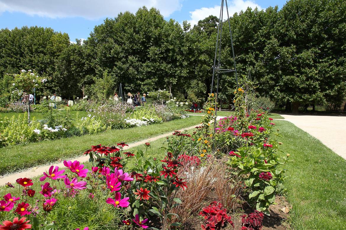 Bild vom Jardin Des Plantes.