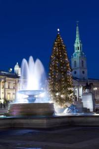 Photo : Trafalgar Square à Noël