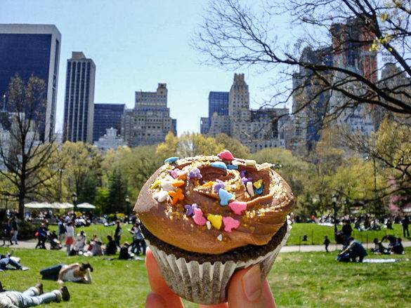 cupcake-central-park-manhattan-new-york-nyc
