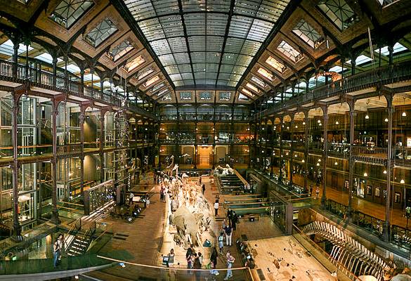 Photo de la Grande Galerie de l’Evolution à Paris au Musée d’Histoire Naturelle
