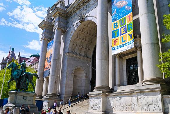 Photo du Musée d'histoire naturelle à Manhattan