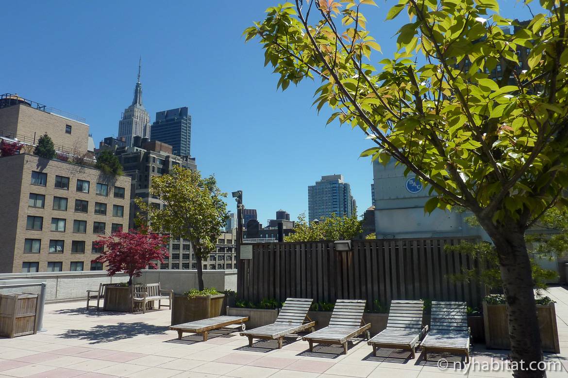 Photo d'une plateforme d'observation d'un toit terrasse d'un appartement T3 en colocation à Chelsea