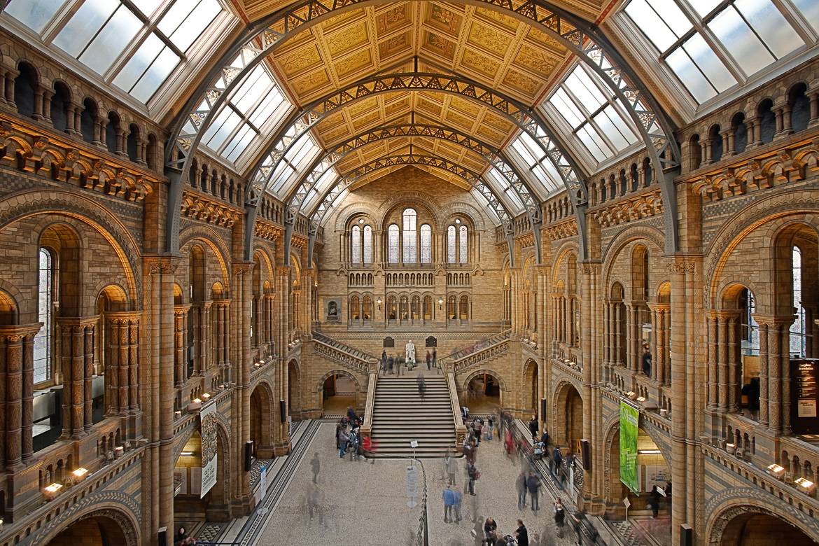 Photo du Musée d'histoire naturelle