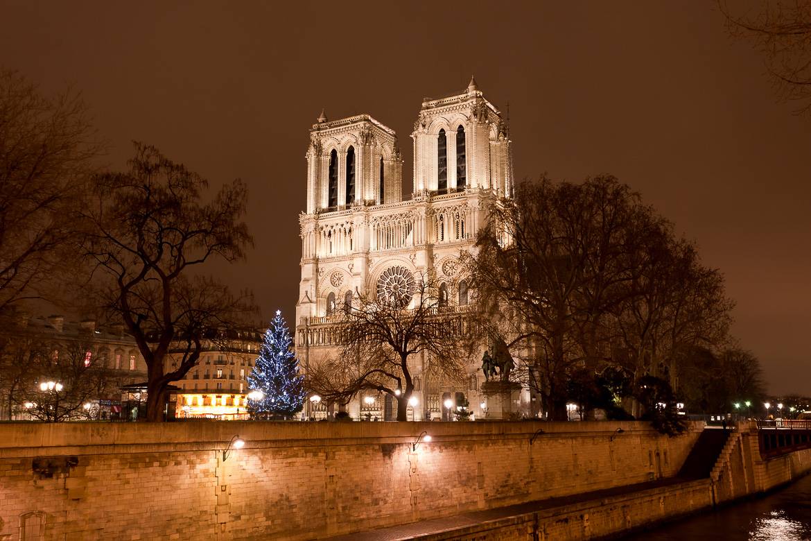 Le sapin de Noël de Notre-Dame à côté de la Seine