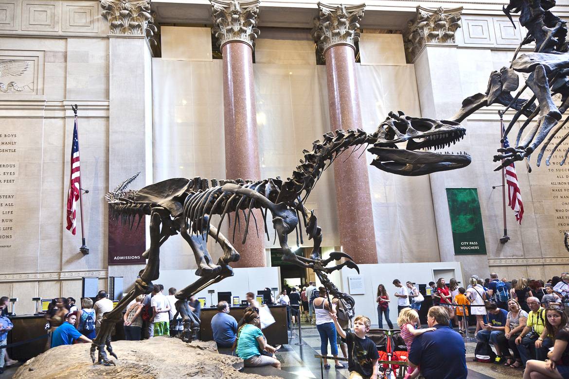 Photo du Muséum américain d’histoire naturelle