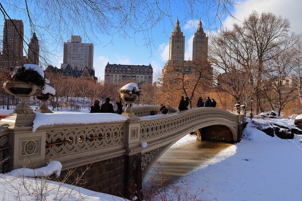Photo de Central Park enneigé