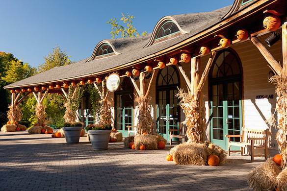 Photo du pavillon du jardin botanique de New York décoré sur le thème de l’automne avec du foin, des feuilles de maïs et des citrouilles