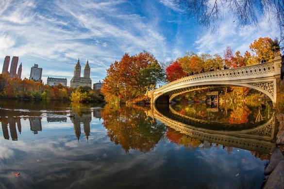 Photo d’un pont recouvert de feuilles d’automne à Central Park
