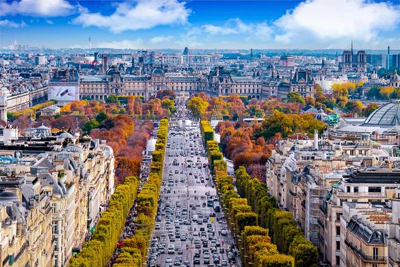 Photo d'un boulevard bordé d’arbres aux couleurs de l’automne et de bâtiments haussmanniens