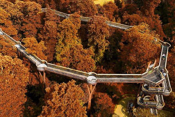 Photo du feuillage d’automne coloré et des passerelles dans les arbres