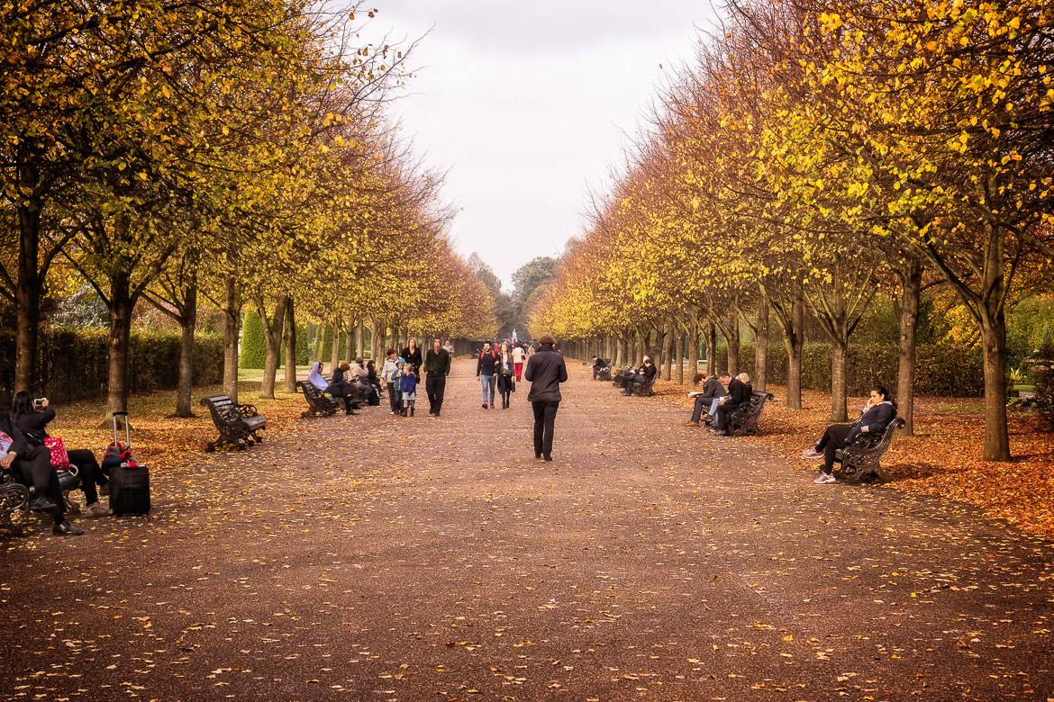 Photo d’une allée bordée d’arbres à Regent’s Park en automne.