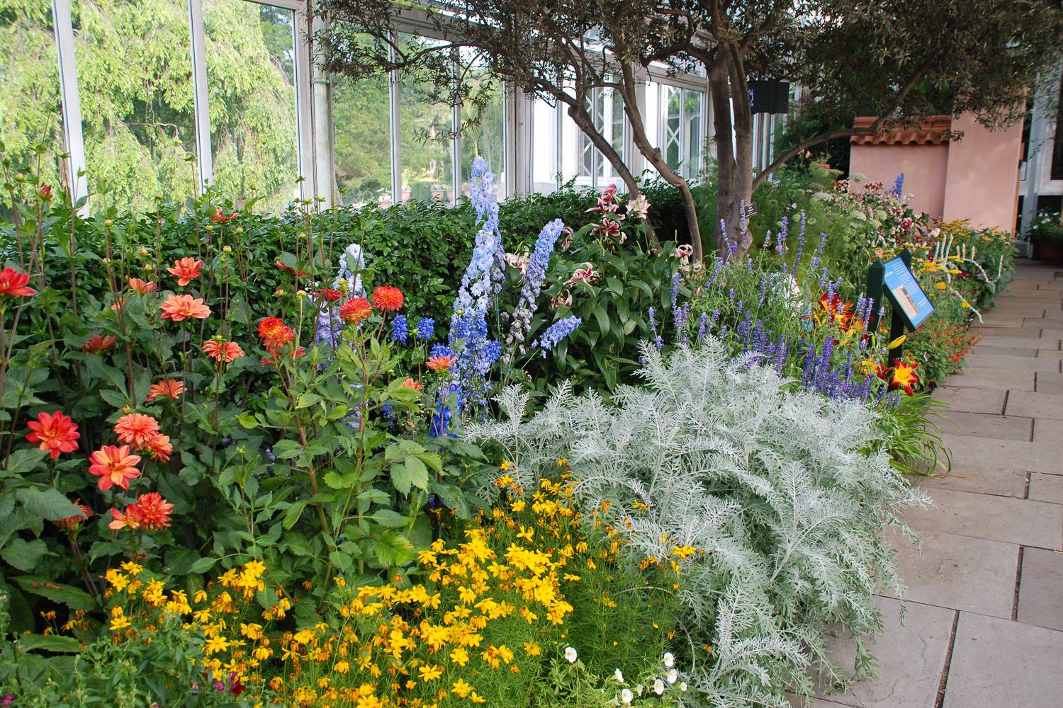 Photo de fleurs dans la serre Enid A. Haupt du jardin botanique de New York.