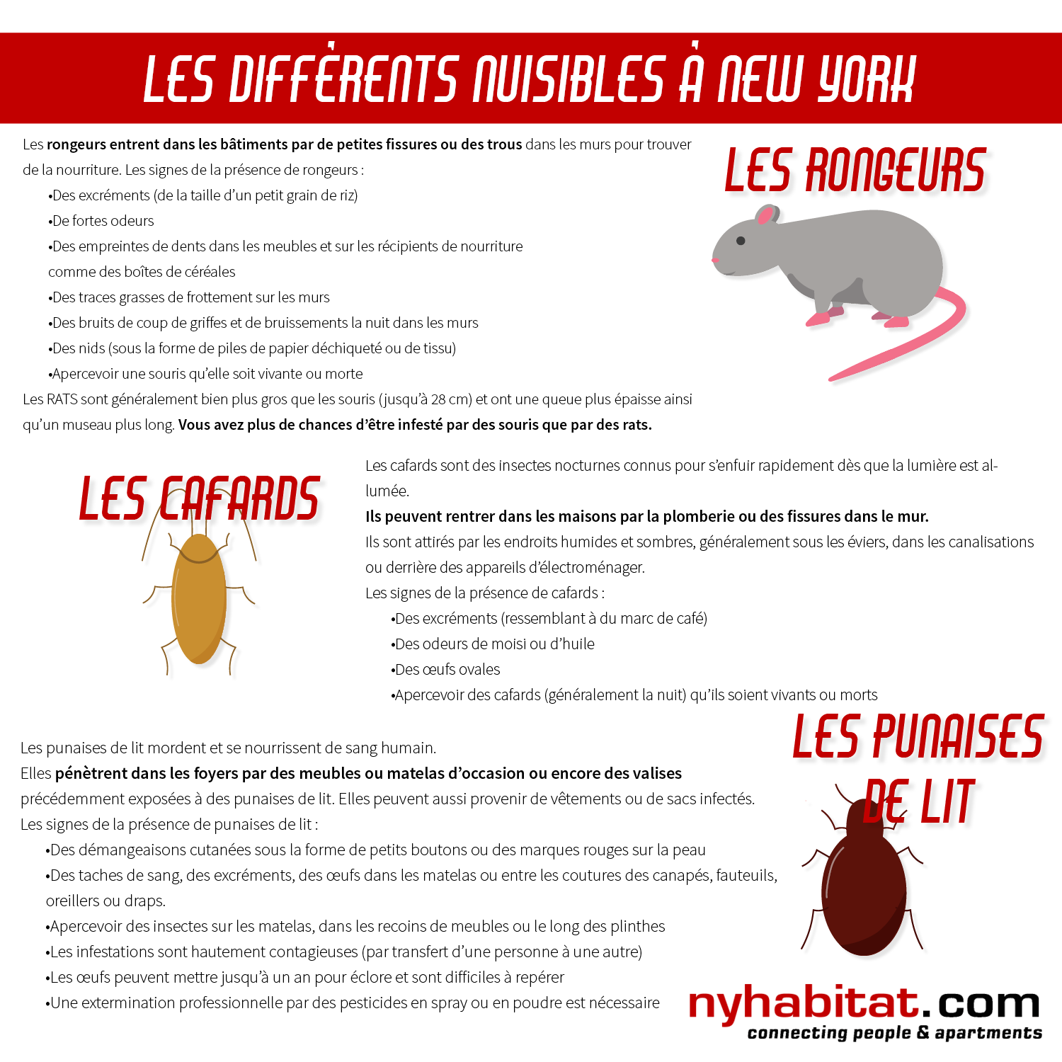 Graphique explicatif New York Habitat comportant des informations pour identifier la présence de rongeurs, de cafards et de punaises de lit.