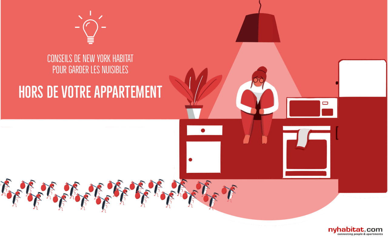 Graphique imagé représentant des cafards emménageant dans l’appartement d’un locataire visiblement nerveux.