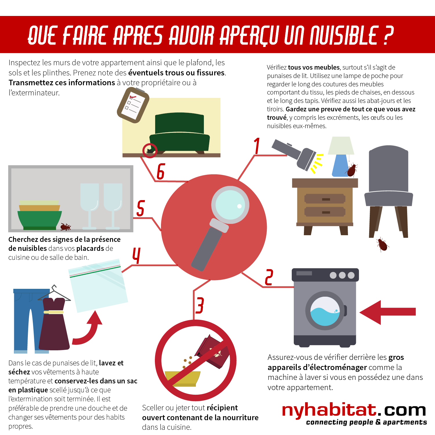 Graphique d’information New York Habitat présentant 6 conseils pratiques pour les locataires ayant découvert des rongeurs, cafards ou punaises de lit dans leur hébergement.