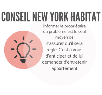 Infographie New York Habitat expliquant aux locataires d’informer le propriétaire pour s’assurer que la réparation sera effectuée.